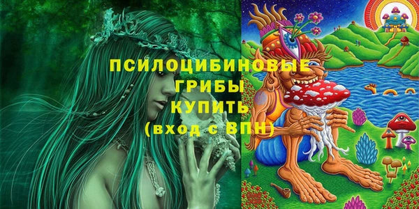 спиды Армянск